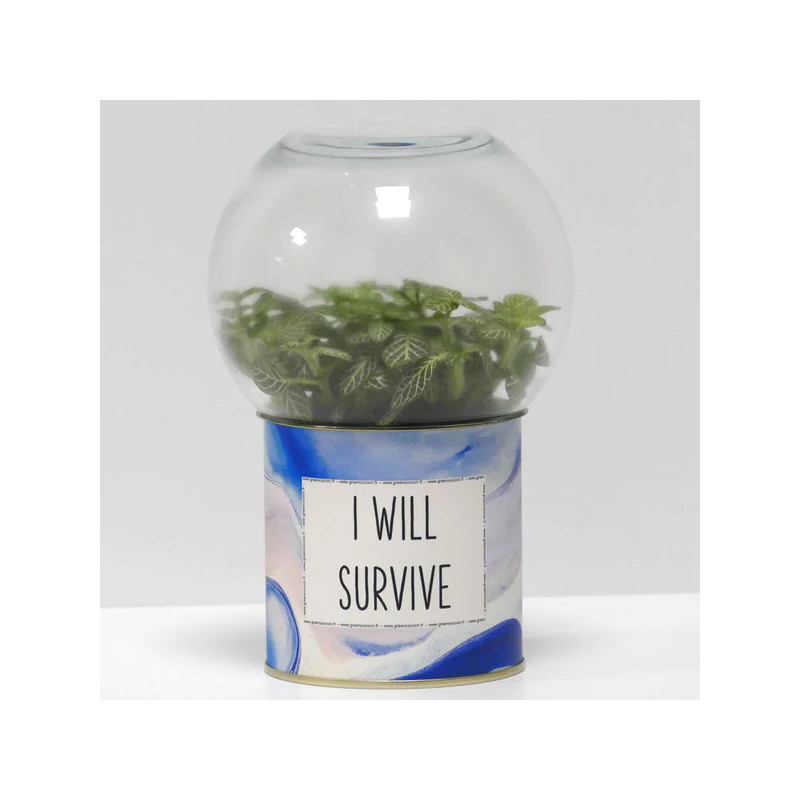 Terrarium déco I will survive