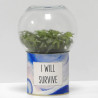 Terrarium déco I will survive