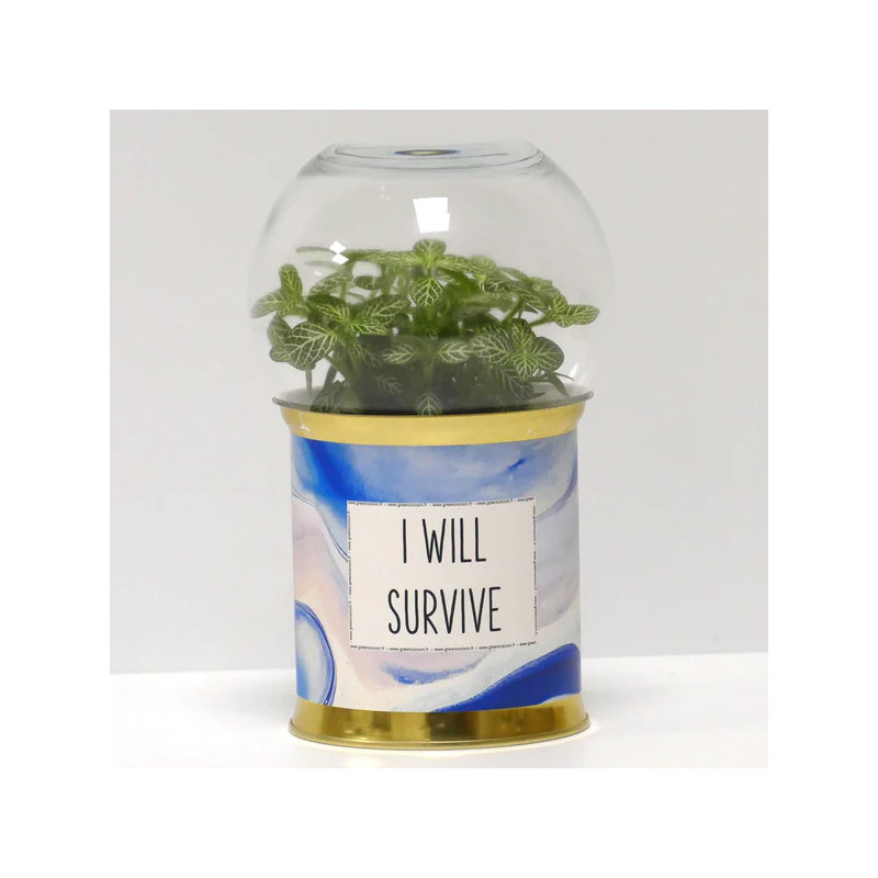 Terrarium déco I will survive