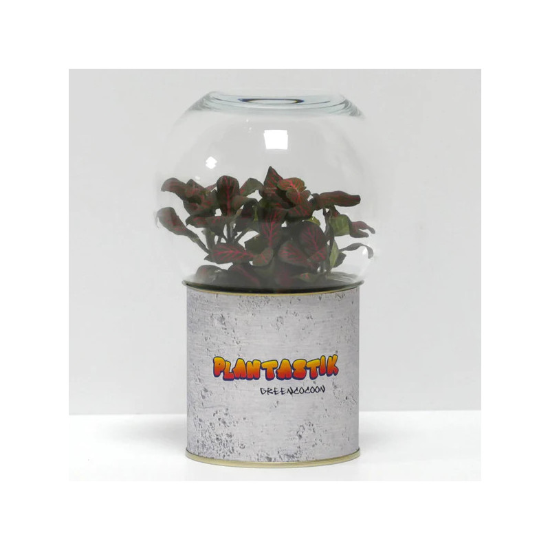 Terrarium déco Plantastik