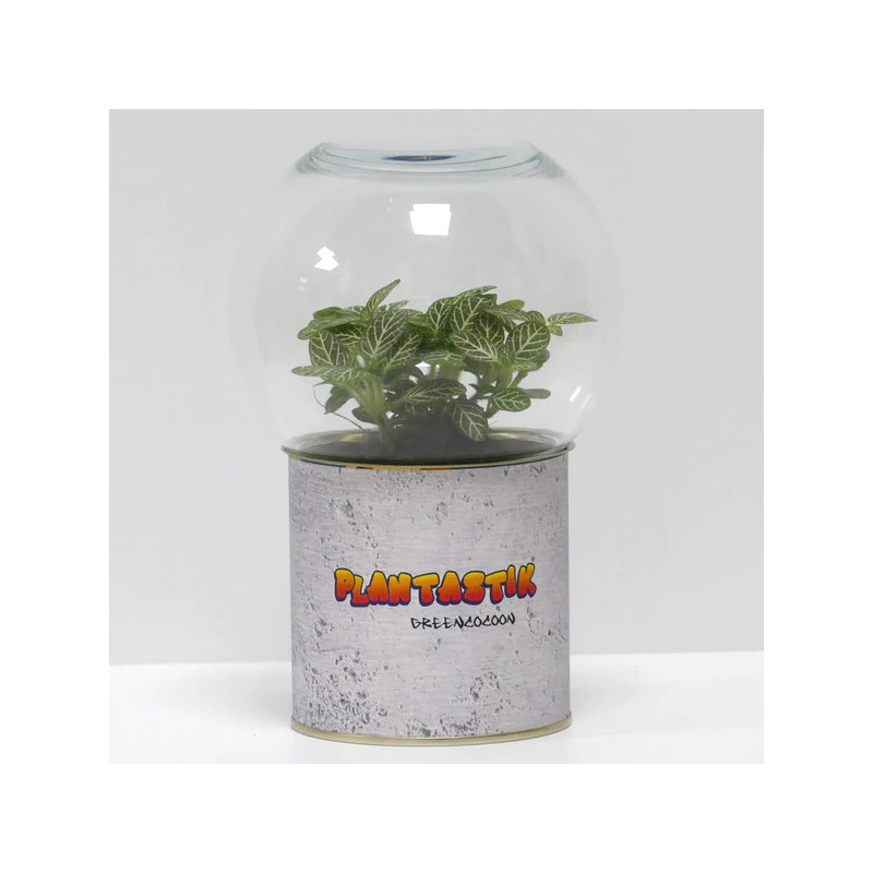 Terrarium déco Plantastik