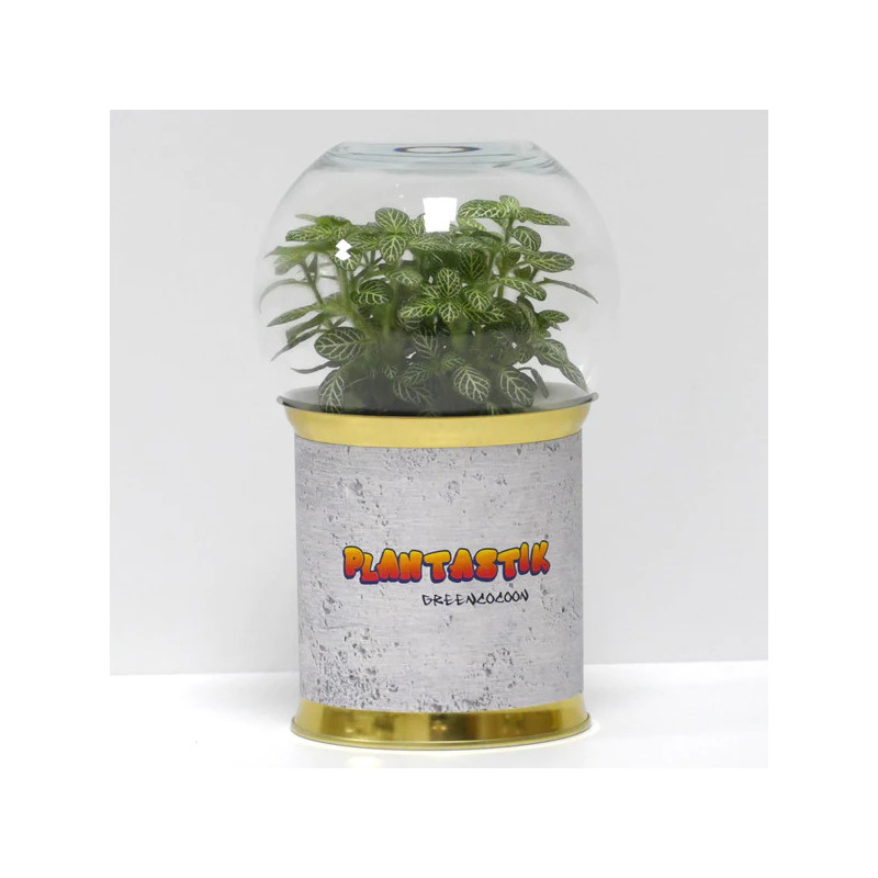 Terrarium déco Plantastik