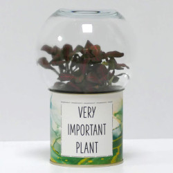 Terrarium déco Very Important Plant