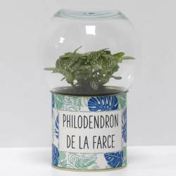 Terrarium déco Philodendron de la farce