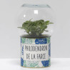 Terrarium déco Philodendron de la farce