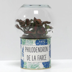 Terrarium déco Philodendron de la farce