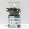 Terrarium déco Philodendron de la farce