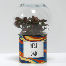 Terrarium déco Best dad