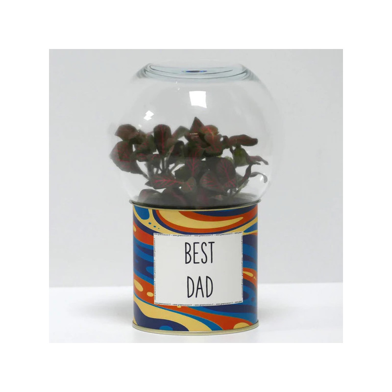 Terrarium déco Best dad