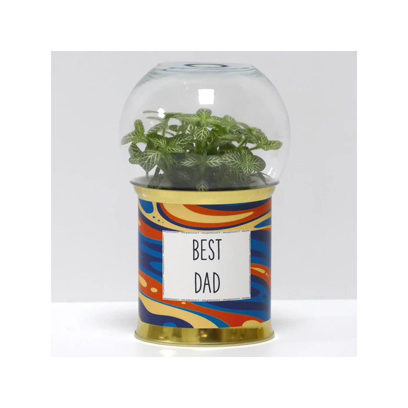 Terrarium déco Best dad