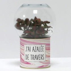 Terrarium déco J'ai azalée de travers