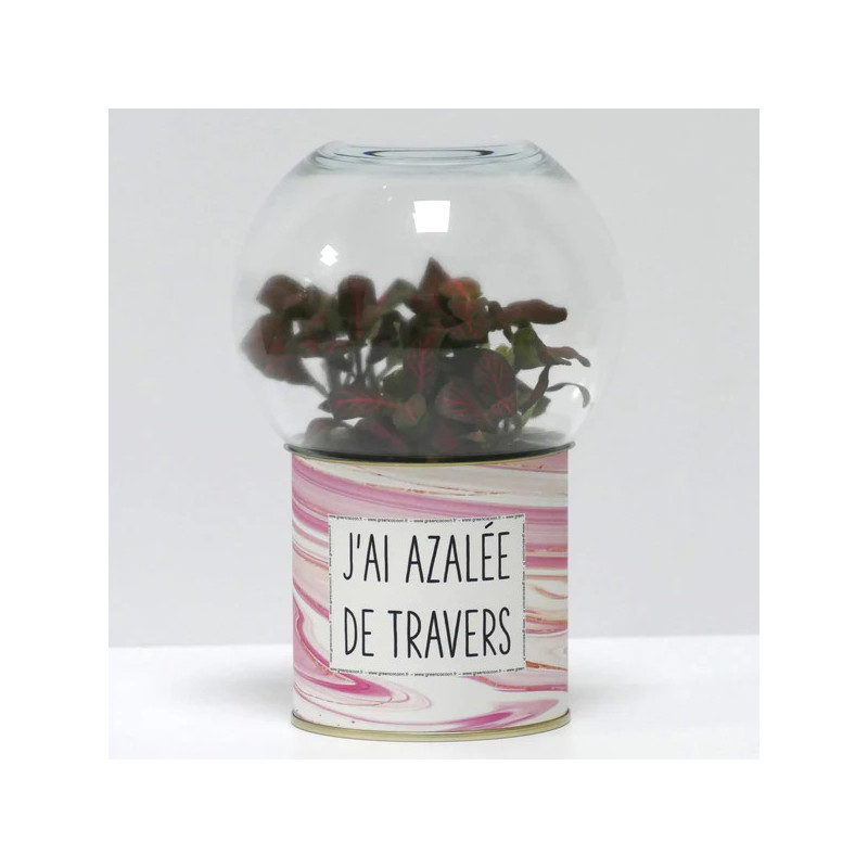 Terrarium déco J'ai azalée de travers