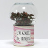 Terrarium déco J'ai azalée de travers