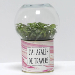 Terrarium déco J'ai azalée de travers