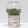 Terrarium déco J'ai azalée de travers