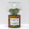 Terrarium déco Plante de feignasse