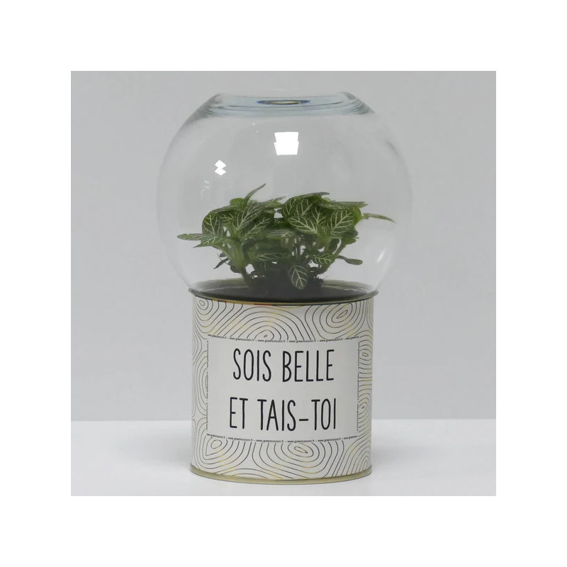 Terrarium déco Sois belle et tais-toi