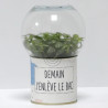Terrarium déco Demain j'enlève le bac
