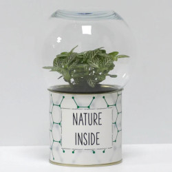 Terrarium déco Nature inside