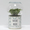 Terrarium déco Nature inside