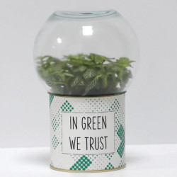 Terrarium déco In green we trust