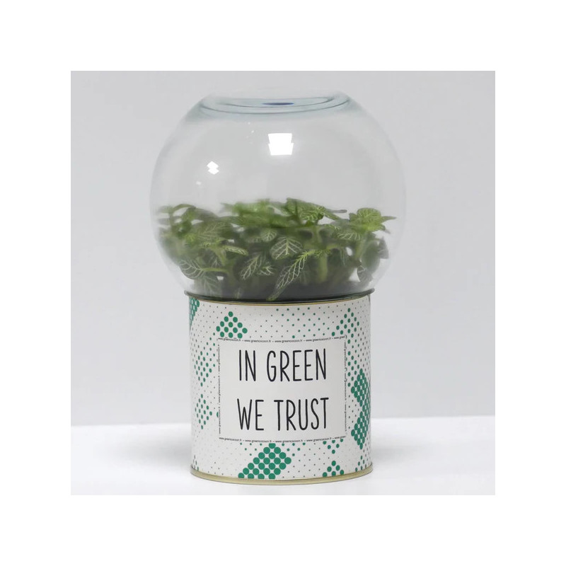 Terrarium déco In green we trust