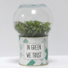 Terrarium déco In green we trust