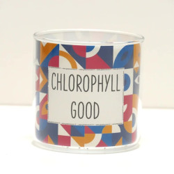 Pot déco Chlorophyll good et sa plante