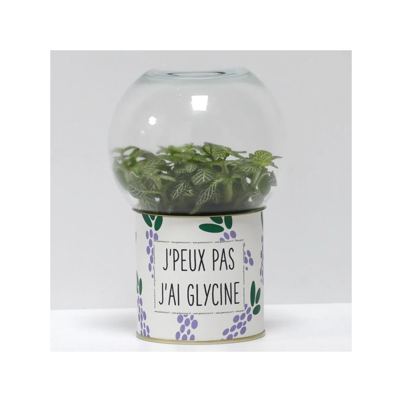 Terrarium déco J'peux pas j'ai glycine