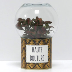 Terrarium déco Haute bouture