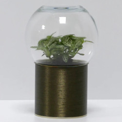 Terrarium déco bronze brossé