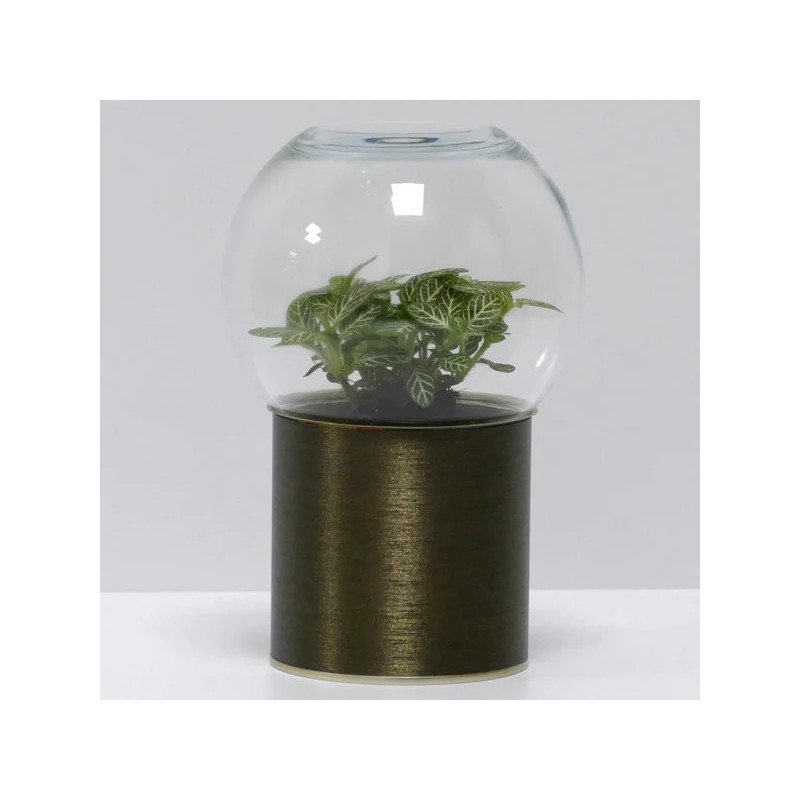 Terrarium déco bronze brossé