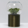 Terrarium déco bronze brossé
