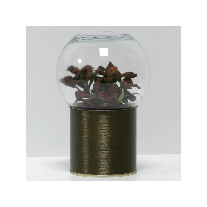 Terrarium déco bronze brossé