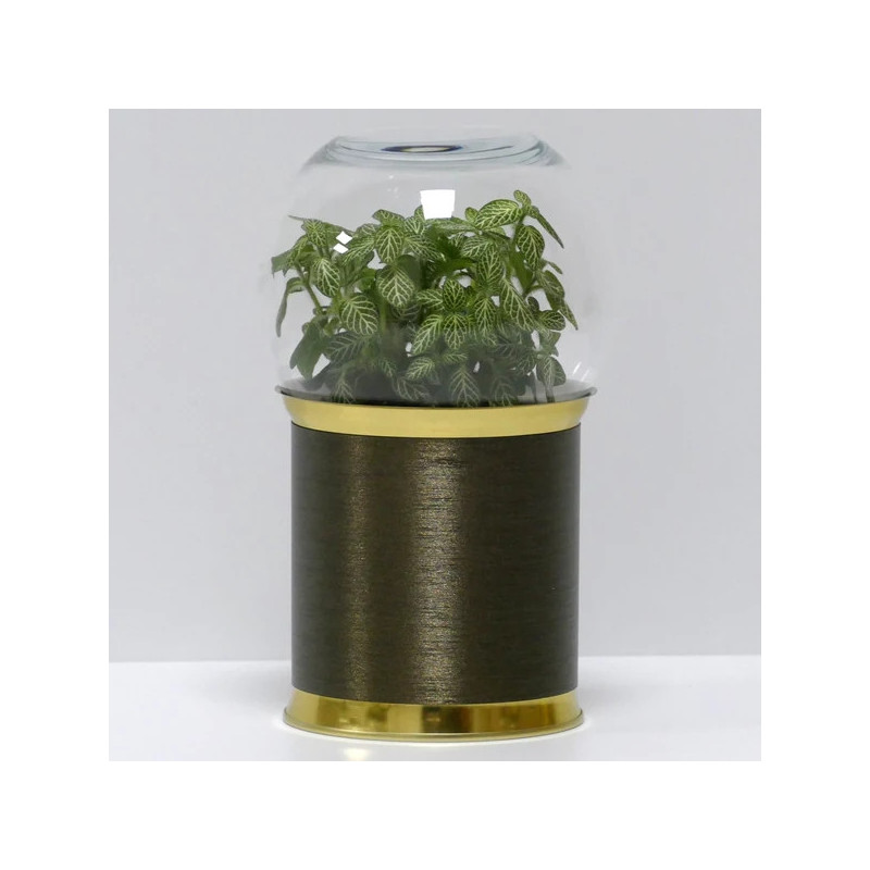 Terrarium déco bronze brossé