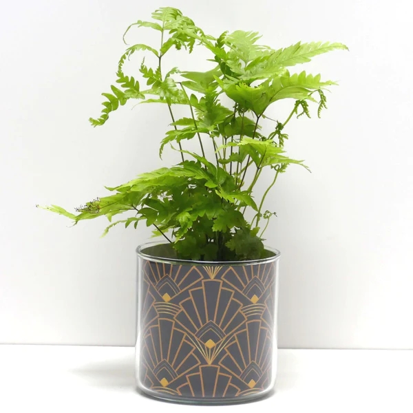 pots avec plantes deco florale GUEBWILLER